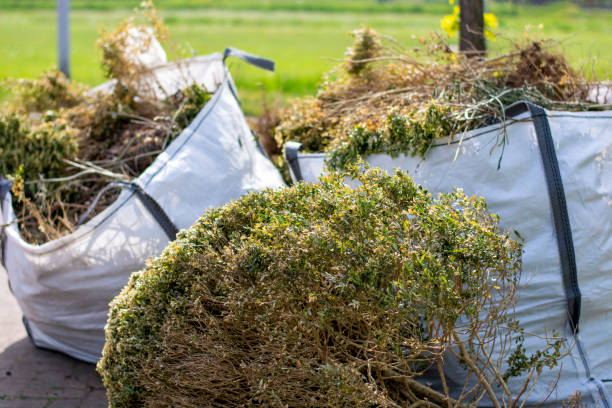 Best Construction Debris Removal  in Waverly, TN
